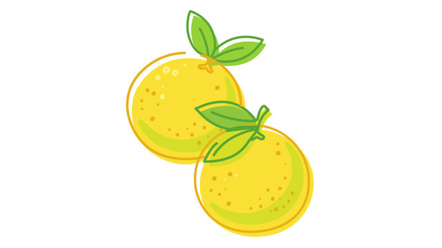Vibrant vector illustration of two fresh pomelo citrus fruits with green leaves, featuring an editable stroke and adjustable stroke weight for customizable line weight and thin line design.