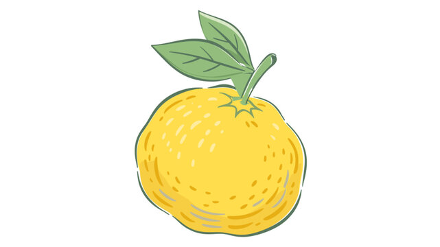 A creative colorful line vector illustration of a fresh yellow pomelo fruit with green leaves, isolated on a white background, perfect for healthy food, citrus fruit, and organic diet designs.