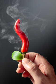 A man's hand holds a steaming hot red chili pepper.