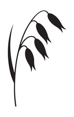Fototapeta premium Wild oat plant with seed heads black silhouette