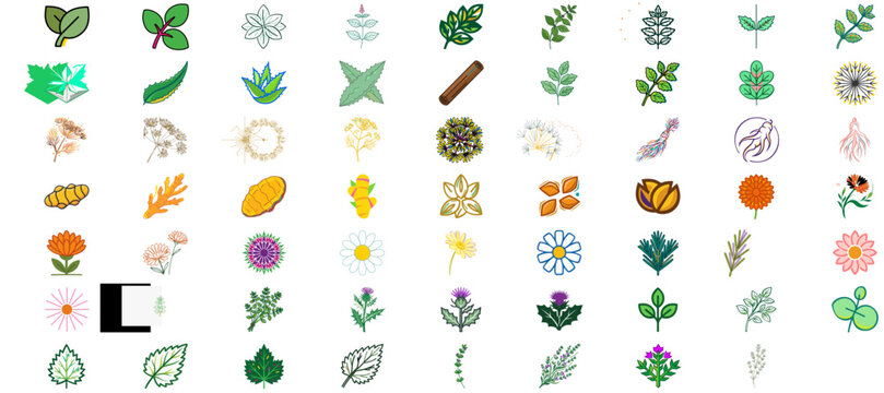 Comprehensive 62 Herbal Medicine and Botanicals Vector Icon Set featuring Aloe Vera, Mint, Chamomile, Eucalyptus, and Calendula. Professional bundle with editable stroke, thin line, and adjustable