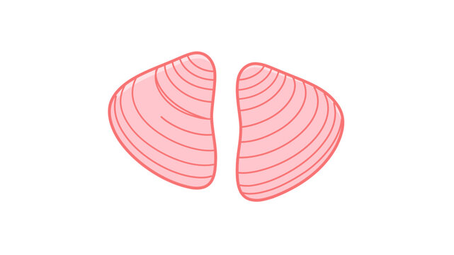 Pink seashell vector icon illustration with editable stroke, adjustable line weight, and customizable thin line design for marine life, beach, and ocean themes; high-quality bivalve clam graphic.