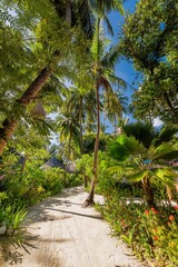 Fototapeta premium Relax tropical island sandy pathway trail majestic jungle plants blooming flowers palm trees leaves breathtaking stunning dreamy serene paradise exotic lush nature landscape travel destination summer