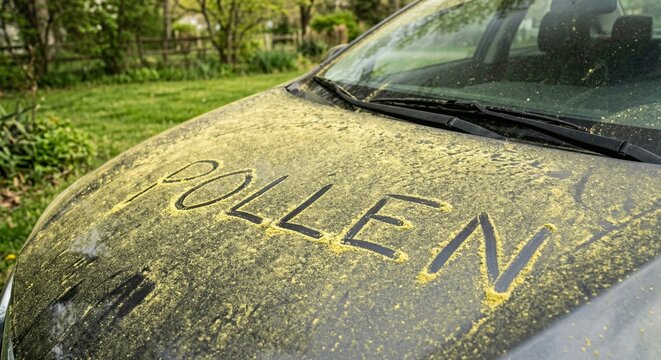 Yellow pollen covering dark colored car hood with word pollen written in dust, showing allergy season impact on vehicles outdoors.