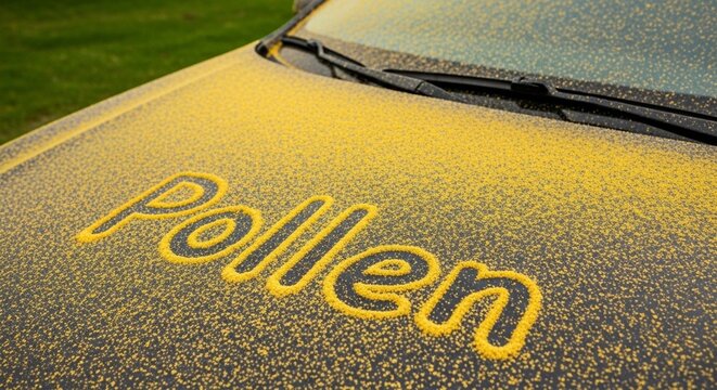 Yellow pollen covering dark colored car hood with word pollen written in dust, showing allergy season impact on vehicles outdoors.