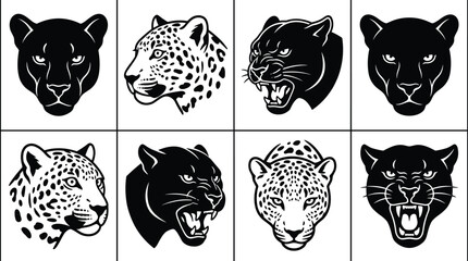 Collection of eight black and white featuring panther and leopard heads in various expressions including roaring and calm profiles © Sifat