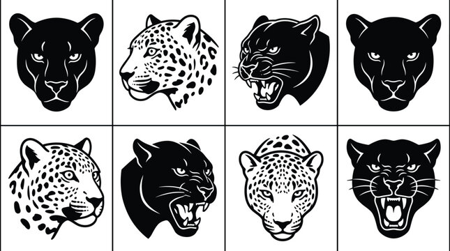 Collection of eight black and white featuring panther and leopard heads in various expressions including roaring and calm profiles