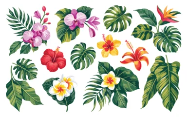 Fototapeten Tropische Blätter Tropical leaves and flowers vector set with exotic botanical foliage, floral elements, and jungle plants for nature, summer, and decorative design projects  © Rony art
