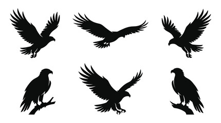 Obraz premium different black sea eagle silhouettes on a clean white background, minimalist vector style.