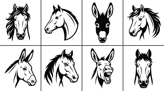 Set of black and white featuring horse and donkey heads in various poses and expressions, isolated on a white background, for projects and, animal collections