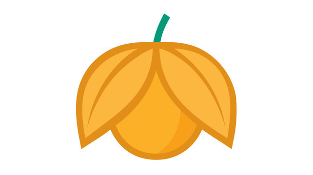 Vibrant and creative colorful line vector icon illustration of a physalis fruit, also known as a cape gooseberry or ground cherry, isolated on white for healthy food, organic and nature design.
