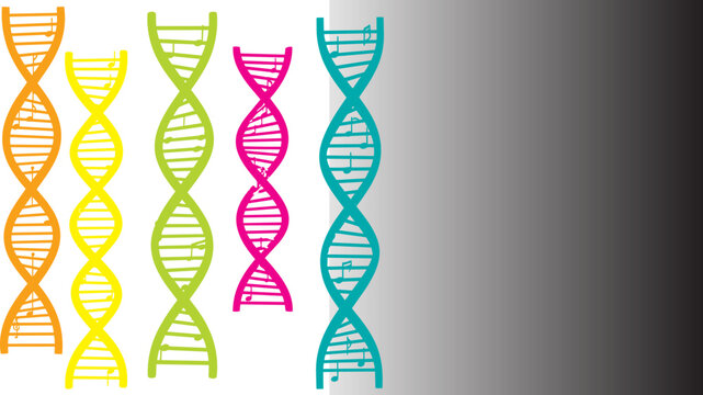 DNA, helix, colorful, vector, genetics, molecular, biology, science icons