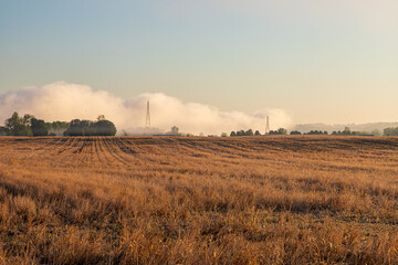 Fototapeta premium sunset in the countryside