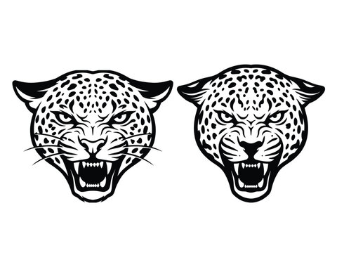 Fierce leopard head illustrations in black and white