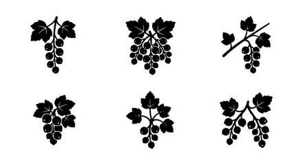 Blackcurrant vector icon set, six elegant berry fruit illustrations, natural food graphics © Tanzila