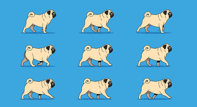 Pug dog walk cycle animation sequence collection on a light blue background for pet and animal character design.