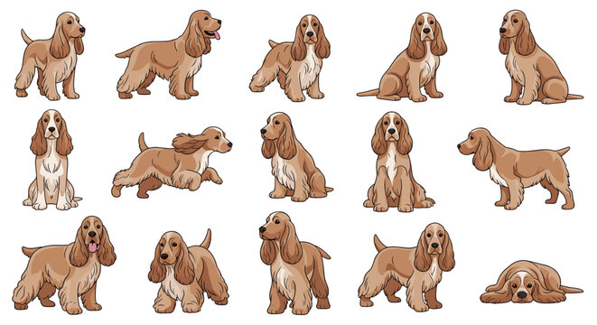 Collection of various cocker spaniel dog illustrations in different poses including sitting, standing, running, and lying down.
