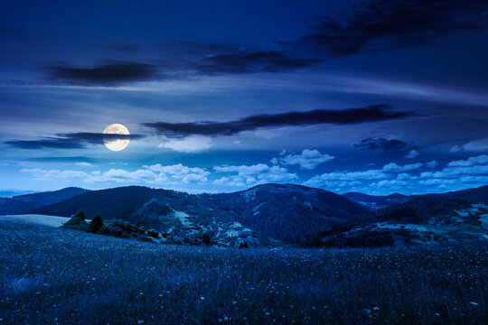 mountainous countryside landscape in summer at night. full moon over grassy field on a hillside. view of a forested mountain ridge in the distance. mysterious weather with cloudy sky