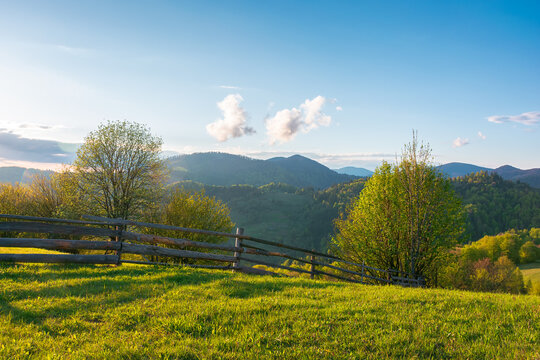 mountainous rural landscape of ukraine in spring. lovely view of valley fields. alpine meadow on a sunny afternoon. carpathian mountains countryside with forest near pasture. earth day background