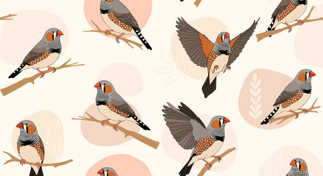 Decorative seamless pattern featuring small zebra finch birds perched on tree branches and flying among soft pastel abstract shapes.