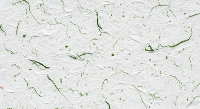White handmade paper texture background with vivid emerald green leaf fiber inclusions. Natural recycled mulberry craft surface in fresh botanical tone for art and design concept use.