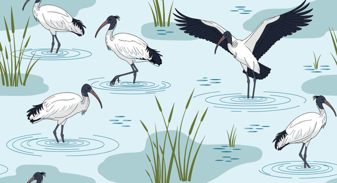 Peaceful seamless pattern of sacred ibis birds wading and flying in a wetland environment with calm water and tall green reeds.