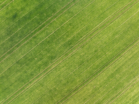 Aerial view of a lush green agricultural field with diagonal tractor tracks in Aiglsbach, Bavaria, Germany.