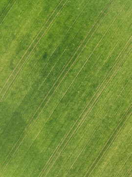 Aerial view of a lush green agricultural field with diagonal tractor tracks and parallel lines in Aiglsbach, Bavaria, Germany.