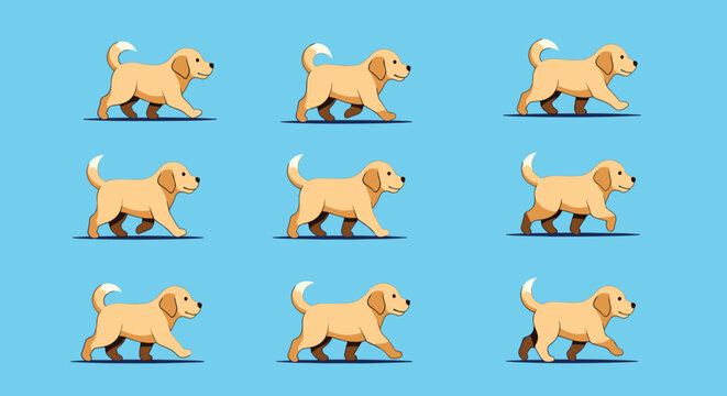 Animation sequence of nine frames showing a golden retriever puppy walking across a blue background for sprite sheet development.