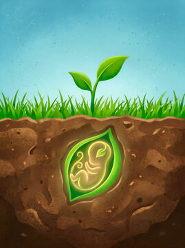 a young plant sprouting above the soil with a glowing embryo-shaped form underground, representing growth, new beginnings, fertility, human development, and the connection between nature and life