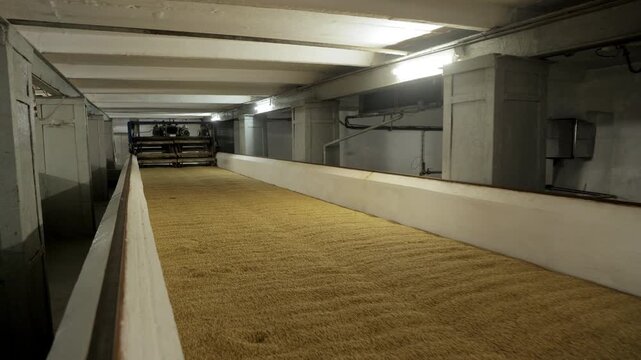 Industrial beer brewery malt fermentation process