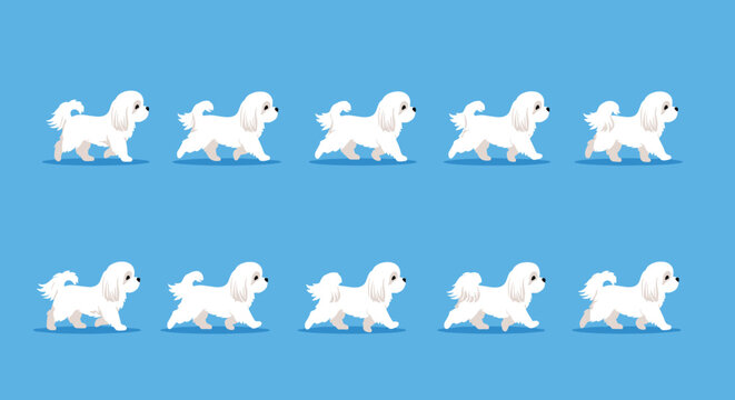 Animation sequence for a white Maltese dog walking is presented as a sprite sheet against a solid blue background for video game design.