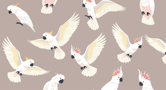 Seamless pattern displays several white cockatoos with yellow and pink crests in various flying and perched poses on a taupe background.