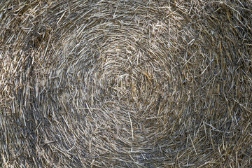 The end of a hay bale © Halytskyi Olexandr