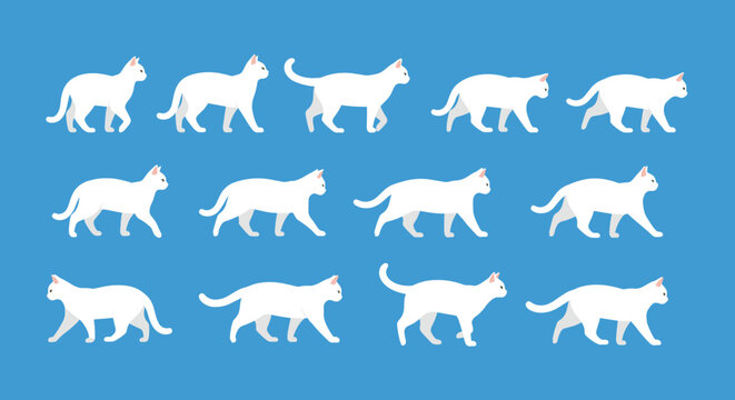 White cat walking cycle animation frames on a blue background show a domestic feline in motion for digital character design projects.