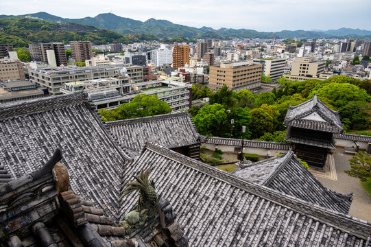 Historic Kochi Castle main keep surrounded by pine trees and traditional stone walls in Kochi, Japan