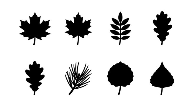 Diverse Autumn Leaf Silhouettes Collection, Vector Icons for Seasonal Design, Nature Elements Set