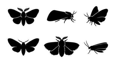 Black Moth Silhouettes, Insect Vector Icons, Nocturnal Butterfly Graphics, Winged Creature Set, Entomology Illustration © Ahsan