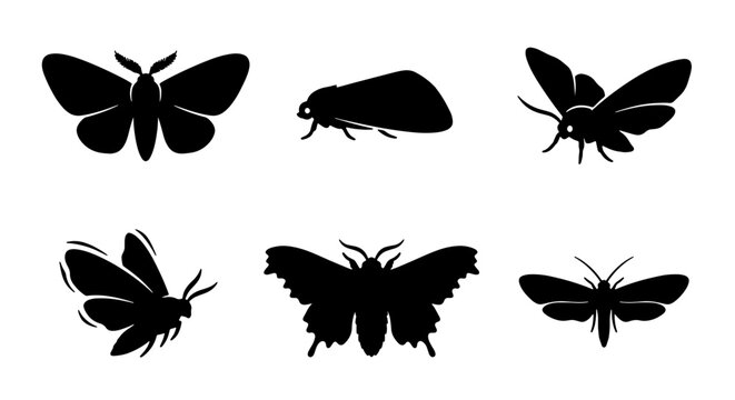 Six Silhouette Moth Icons, Insect Vector Graphics, Nocturnal Butterfly Shapes, Winged Creature Symbols, Entomology Collection, Black and White