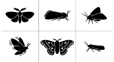 Set of Six Black Moth Silhouettes, Insect Vector Icons, Nocturnal Lepidoptera Graphics, Simple Winged Creature Illustrations © Naimul