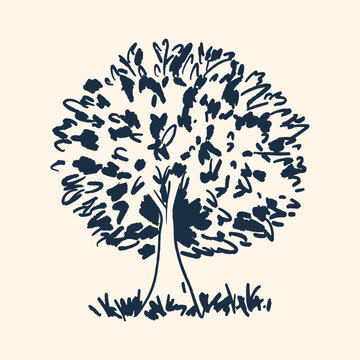 Hand-Drawn lnk sketch tree. Minimalist nature illustration on beige background for organic andeco design.