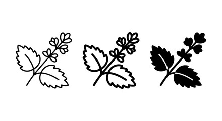 Mint Leaf Icons, Herbal Sprigs, Botanical Vector Illustrations, Fresh Green Plant Elements © Lamiya