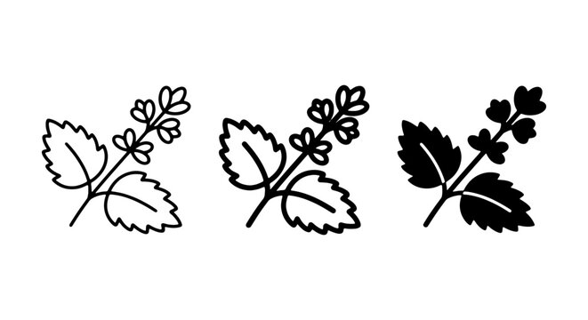 Mint Leaf Icons, Herbal Sprigs, Botanical Vector Illustrations, Fresh Green Plant Elements