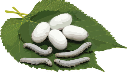 Realistic silkworm larvae and white cocoons vector illustration on green mulberry leaves isolated on white background