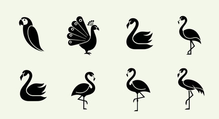 Fototapeta premium Set of stylized bird icons: parrot, peacock, swans, flamingos
