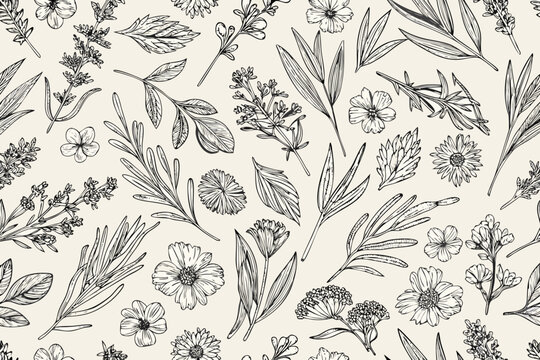 floral pattern design continuous botanical illustration on beige background
