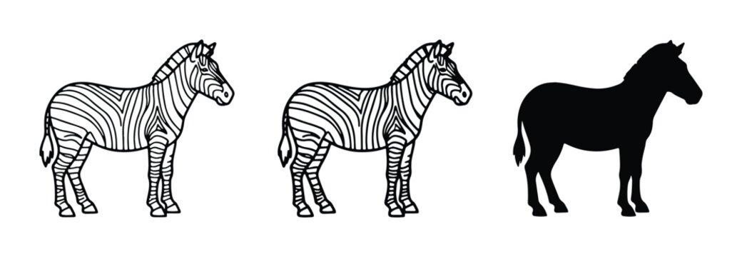 Three Zebra Illustrations: Detailed Line Art and Solid Silhouette, African Wildlife Vector Graphics