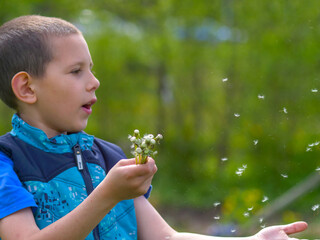 Side Profile of Young Boy Blowing Dandelion Seed Heads into Wind — Outdoor Childhood Play, Spring Summer Meadow Field Nature © light