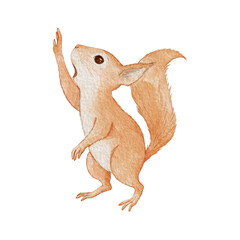 Watercolor squirrel jumping PNG isolated transparent © AksanaKanstantsinava