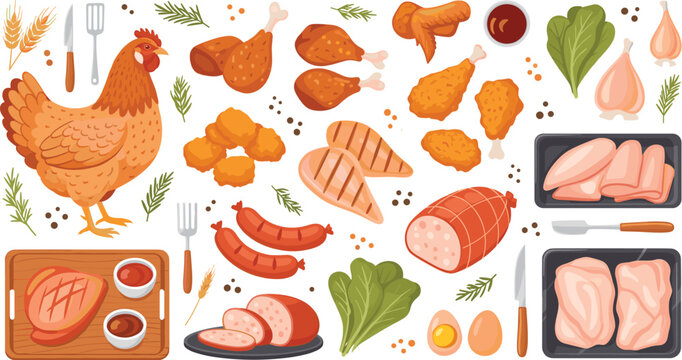 Chicken meat products collection vector illustration featuring fried grilled raw and processed poultry food isolated elements